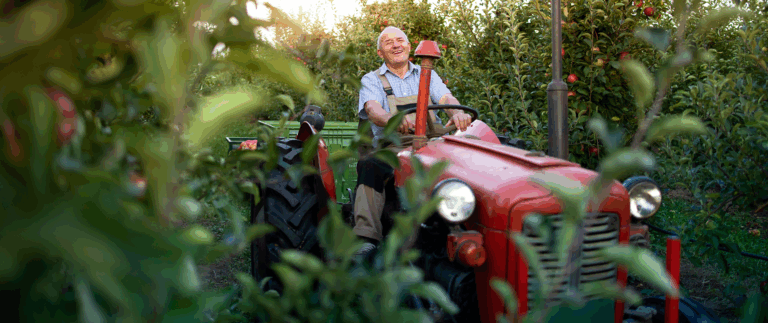 Thing you should know about basic car parts before buying a car